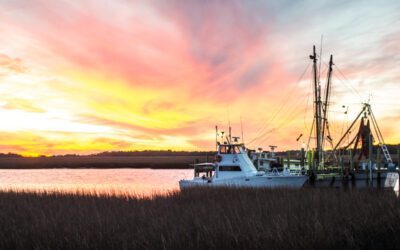 Tips For Making James Island Your Home In The Lowcountry This Year