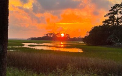 What To Expect If You’re Planning a Move to Seabrook Island In 2025